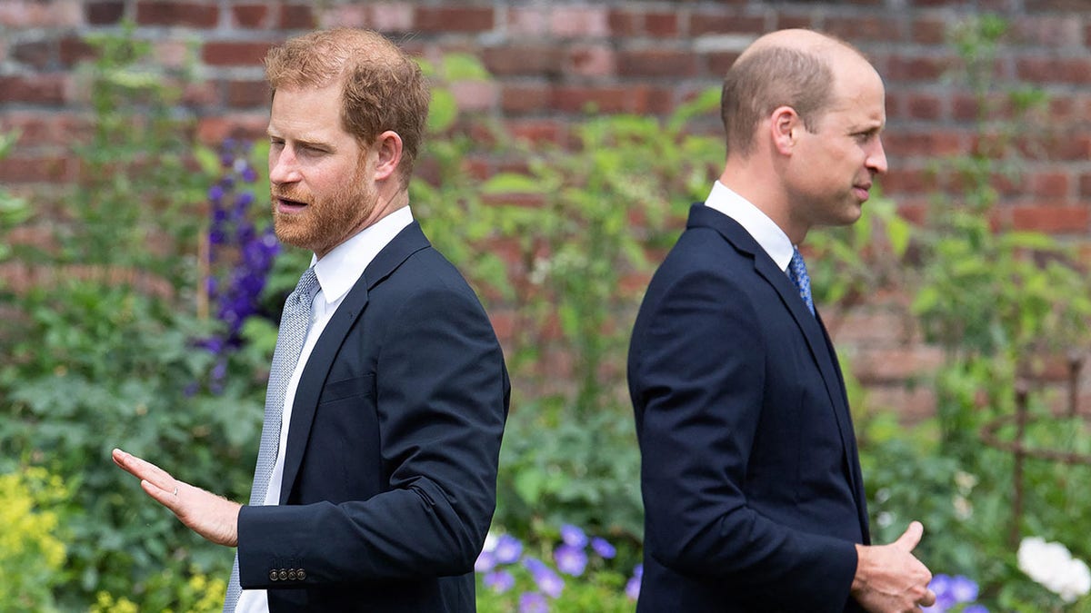 Prince Harry, Duke of Sussex (L) and Britain's Prince William, Duke of Cambridge attend the unveiling of a statue of their mother, Princess Diana at The Sunken Garden in Kensington Palace,