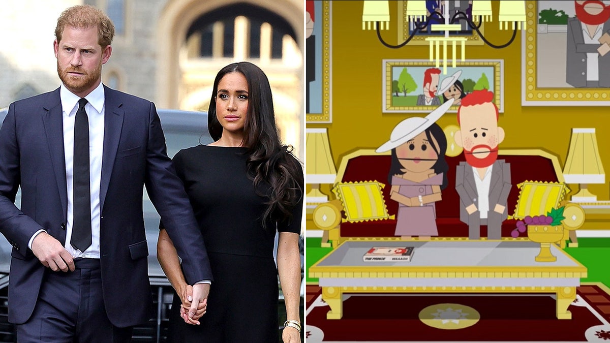 Harry and Meghan South Park split