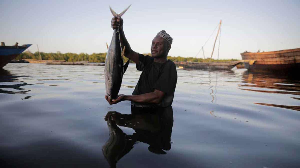 Fisherman Kassim Abdalla Zingizi holding a fish