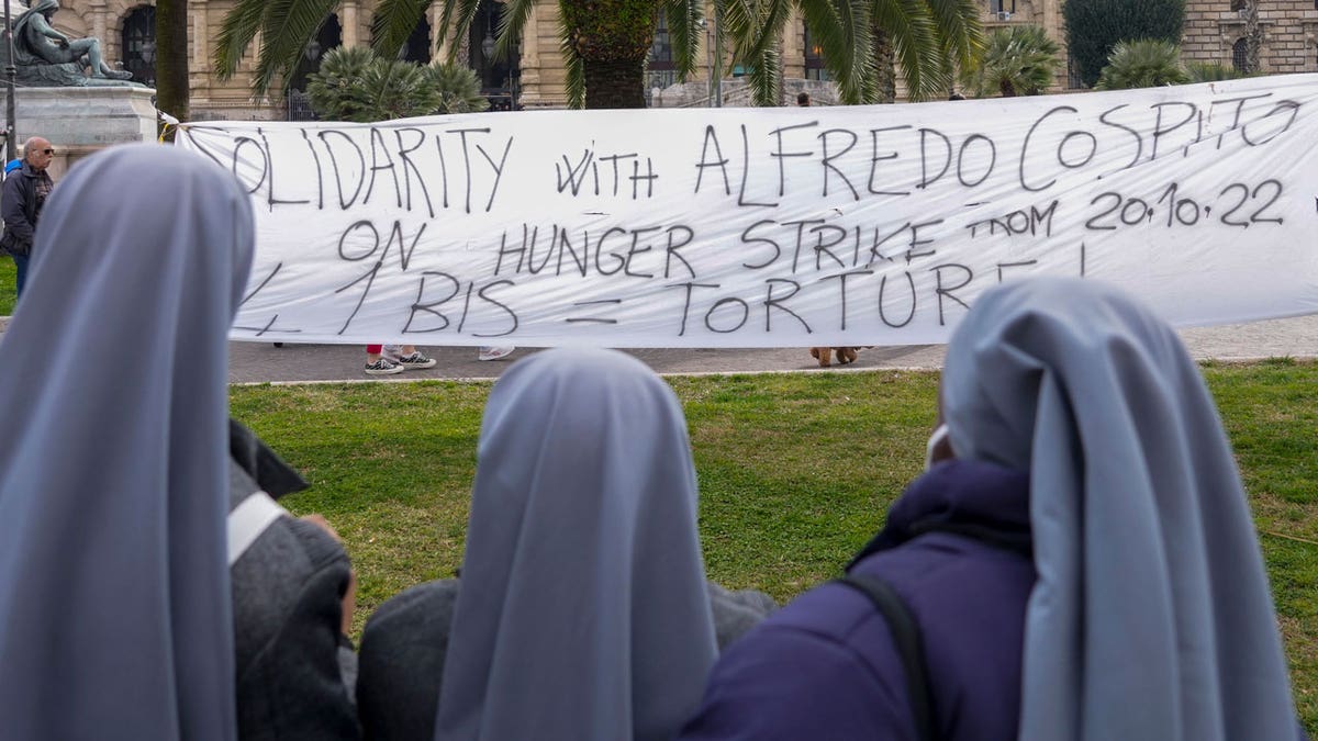 Italy Anarchist Ruling