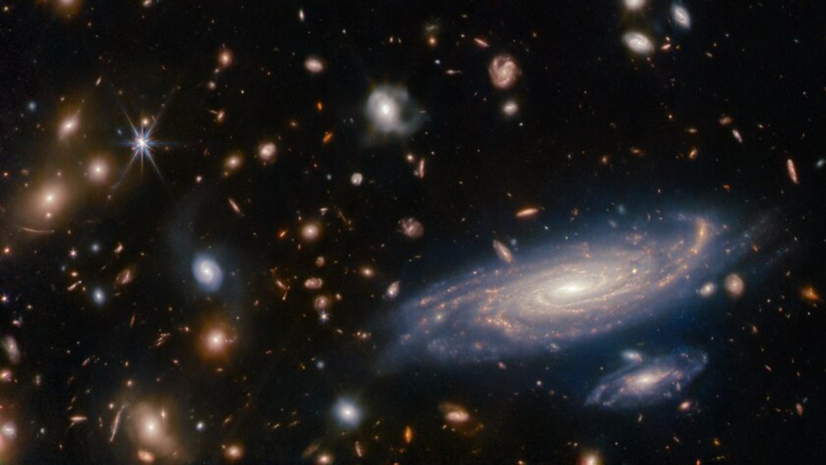 The spiral galaxy LEDA 2046648