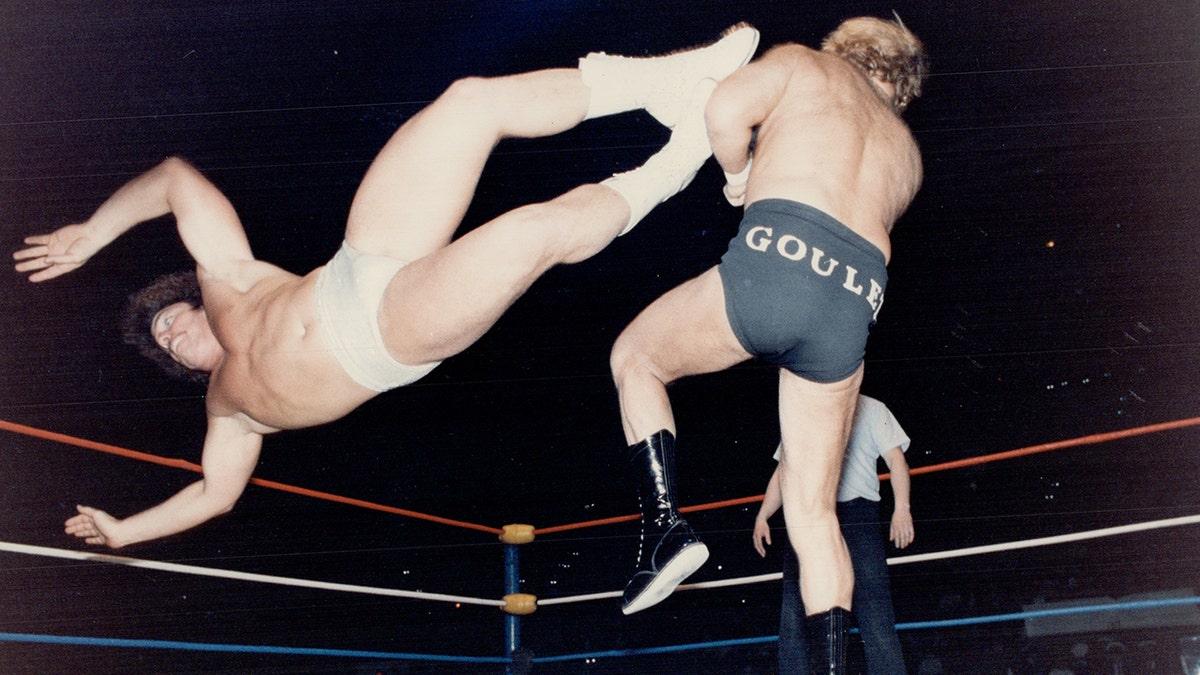 Lanny Poffo in a match