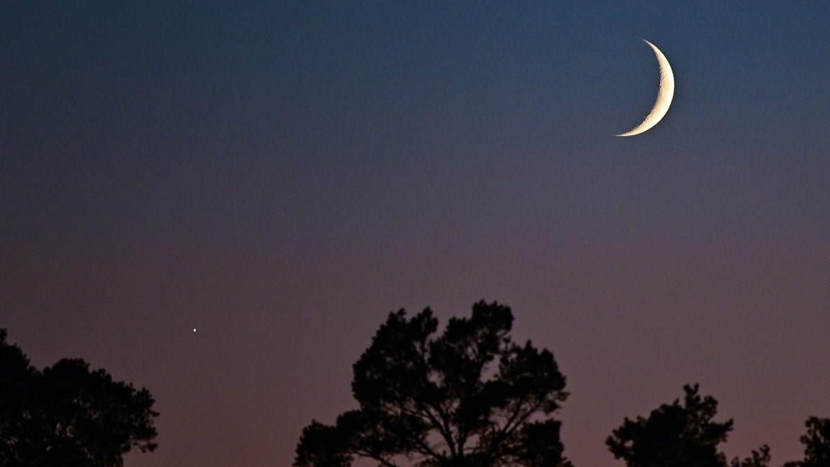 The crescent moon and Venus