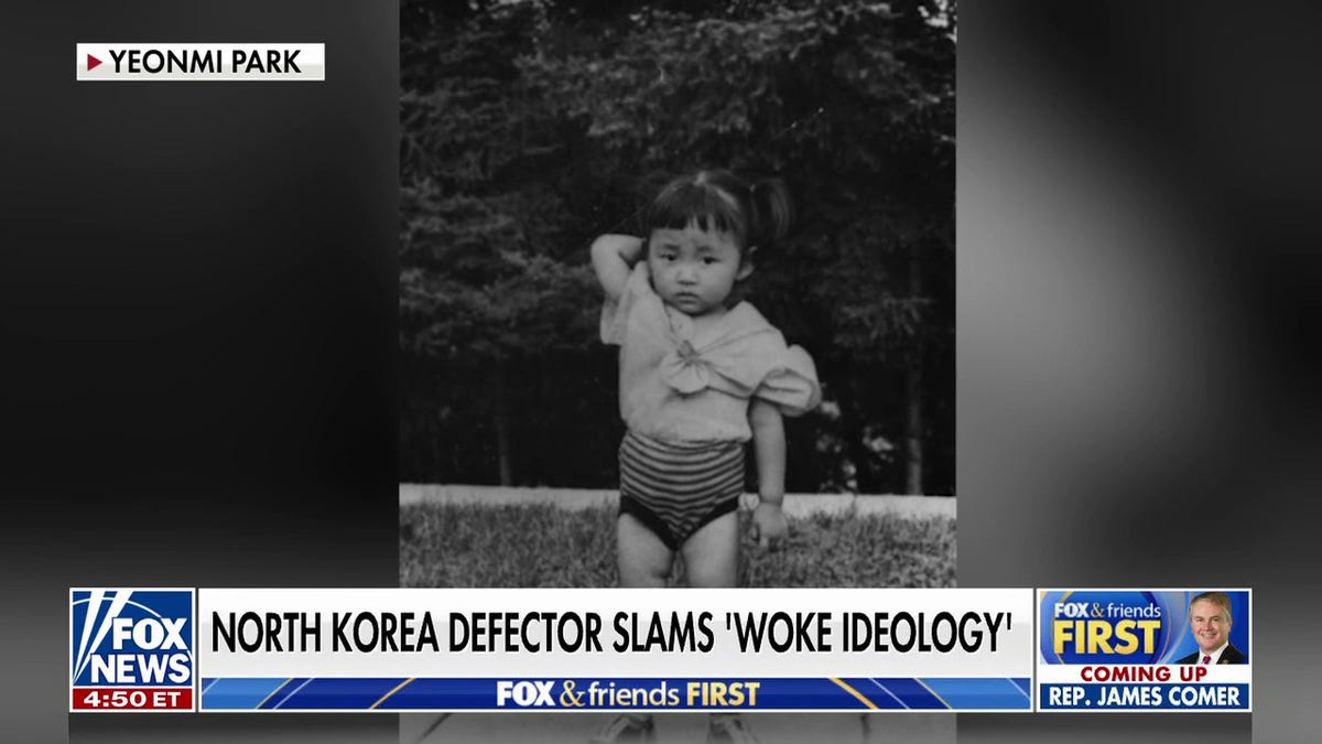 North Korean defector