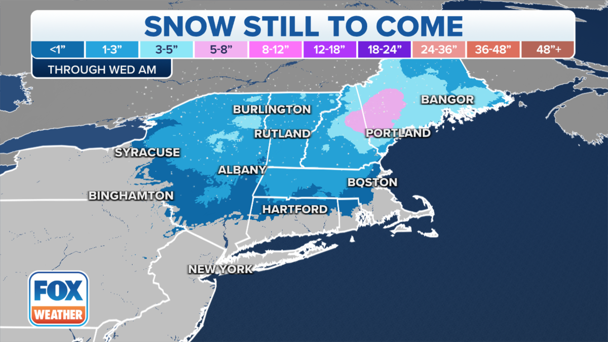 Snowfall forecast for Northeast