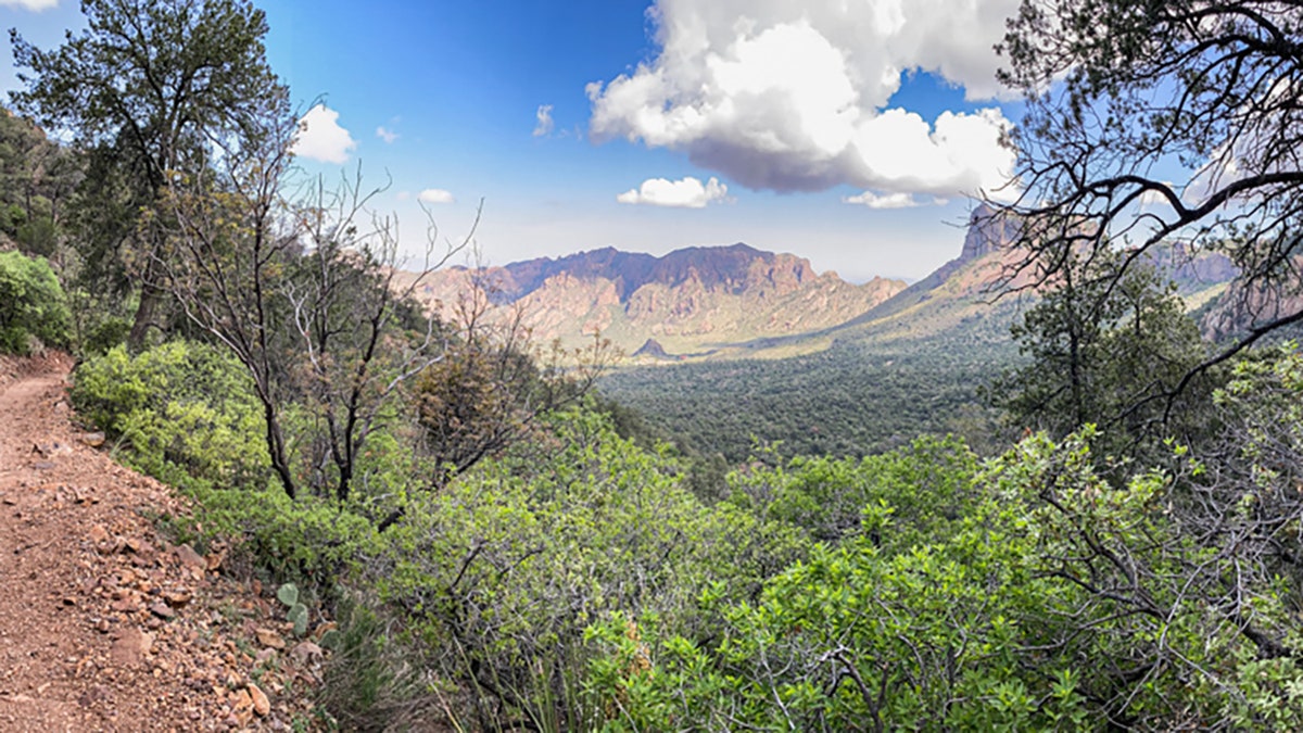 Pinnacle Trail in the Chisos Mountains