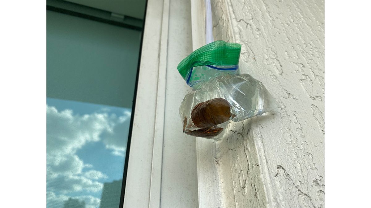https://a57.foxnews.com/static.foxnews.com/foxnews.com/content/uploads/2023/02/1200/675/Plastic-Bag-Filled-with-Pennies-and-Water-Near-Glass-Door.png?ve=1&tl=1