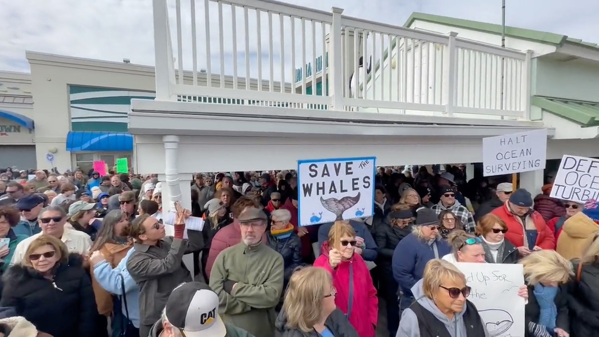 Hundreds rally in Point Pleasant Beach, New Jersey, on Sunday against offshore wind projects over concerns they are harming whales.