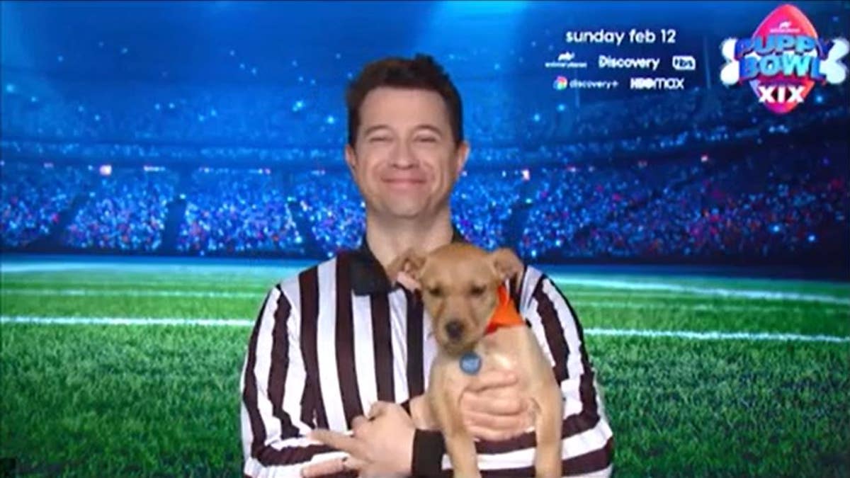 What's on TV: Super Bowl 2021, Kitten Bowl, Puppy Bowl - Los