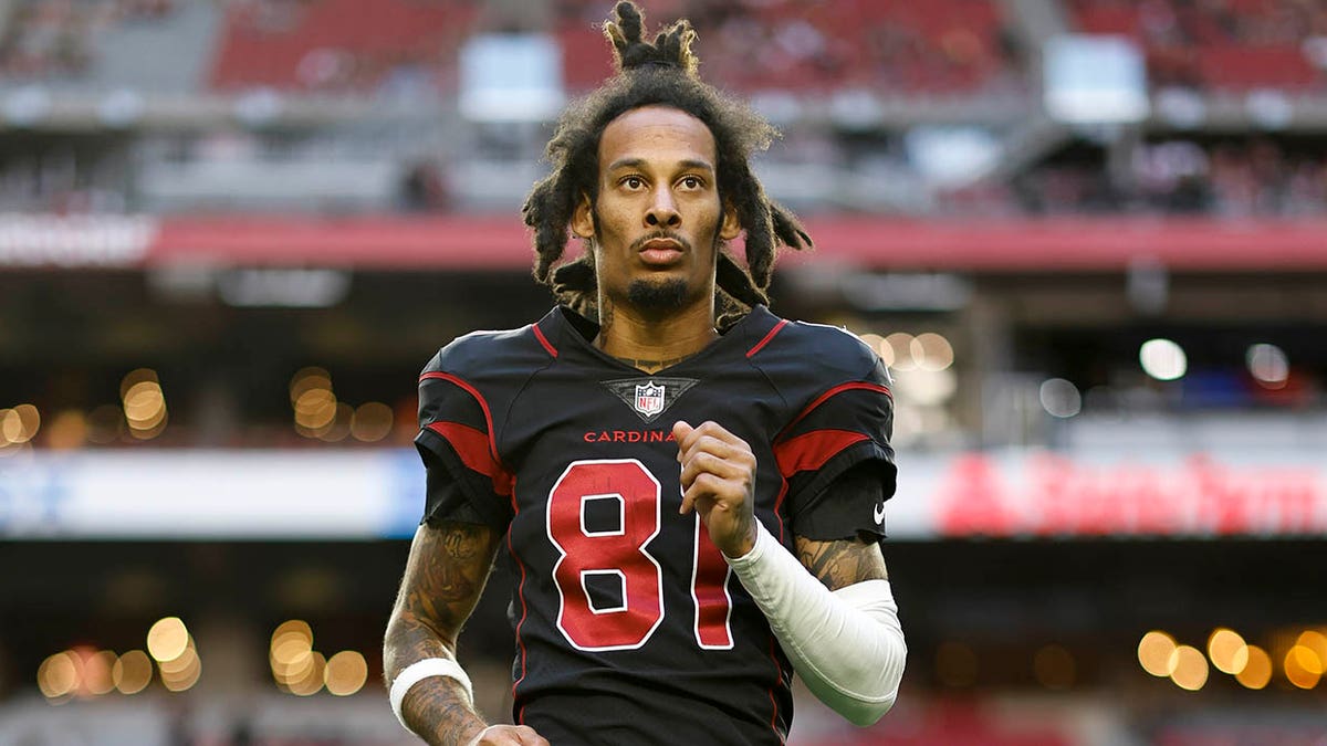 Robbie Anderson of the Arizona Cardinals runs the ball against the News  Photo - Getty Images