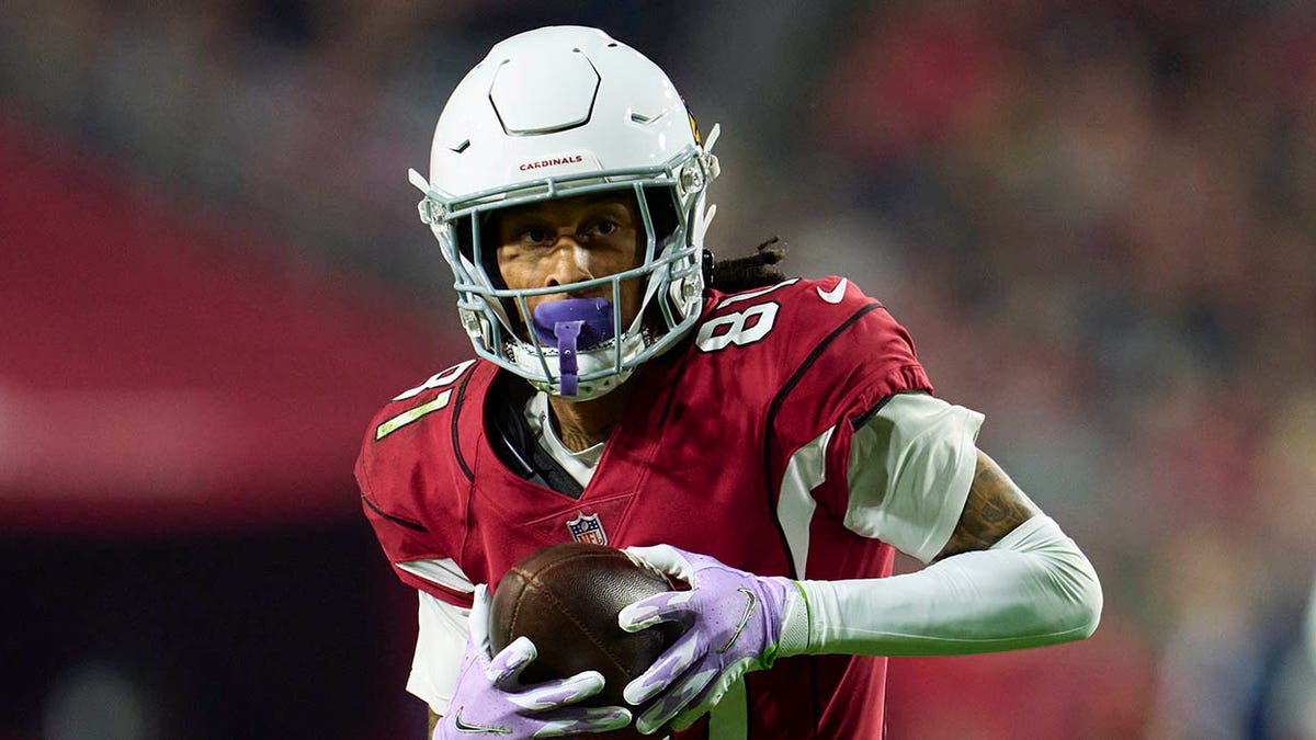 Robbie Anderson of the Arizona Cardinals runs the ball against the News  Photo - Getty Images