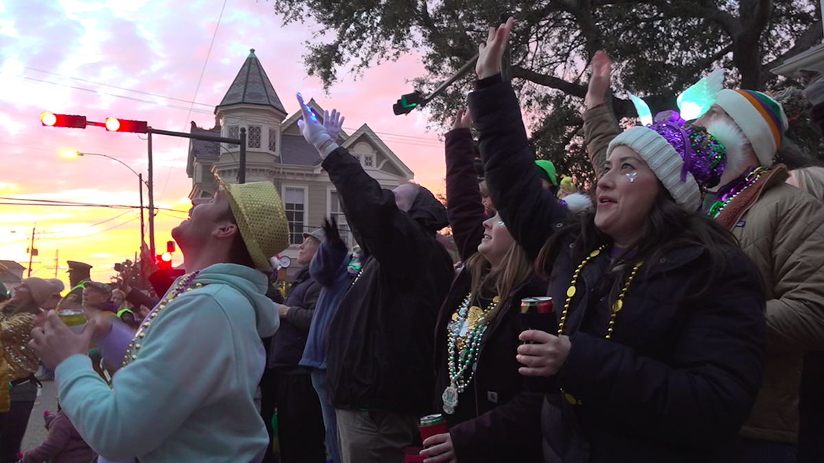 A group of people dressed in Mardi Gras colors raise their hands for beads