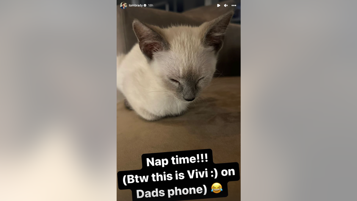 Tom Brady's kitten sleeping