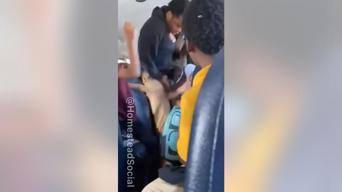 A student repeatedly punches the girl