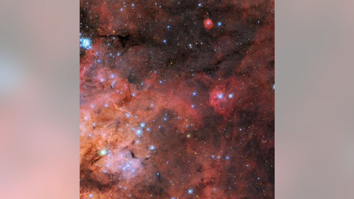 Star formation in the nebula
