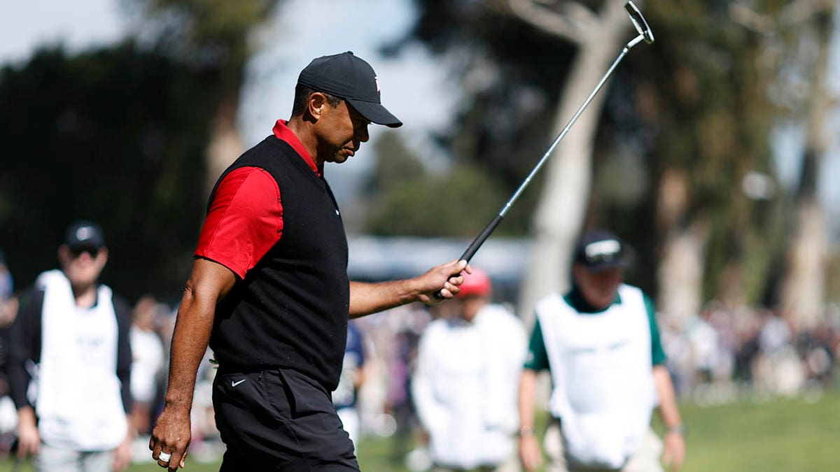 Tiger Woods raises putter