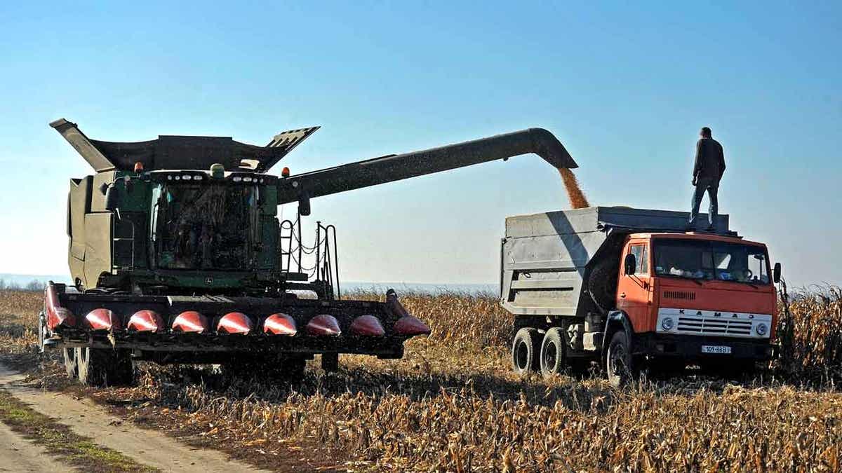 Corn farmer in Ukraine
