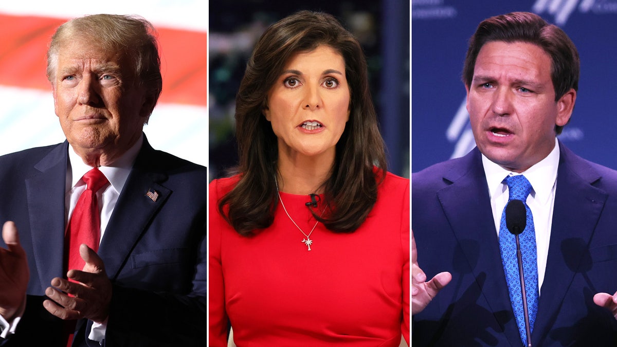 Donald Trump, Nikki Haley, Ron DeSantis