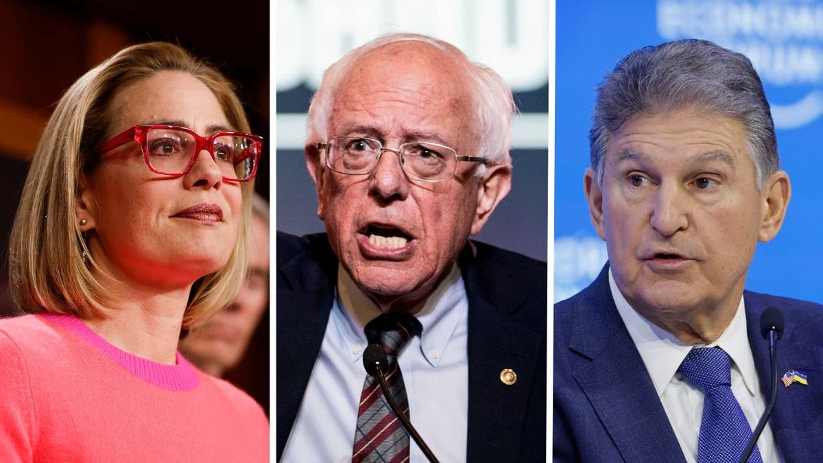 Sinema Manchin Sanders