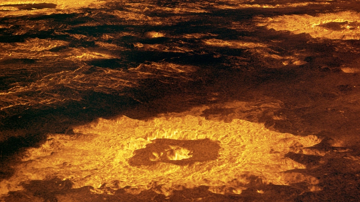 Impact craters on Venus