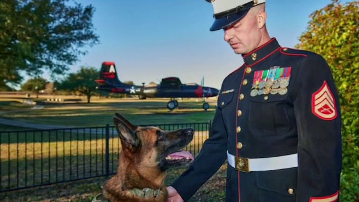 Ret. Staff Sgt. Alex Schnell and Belgian shepherd Bass. 