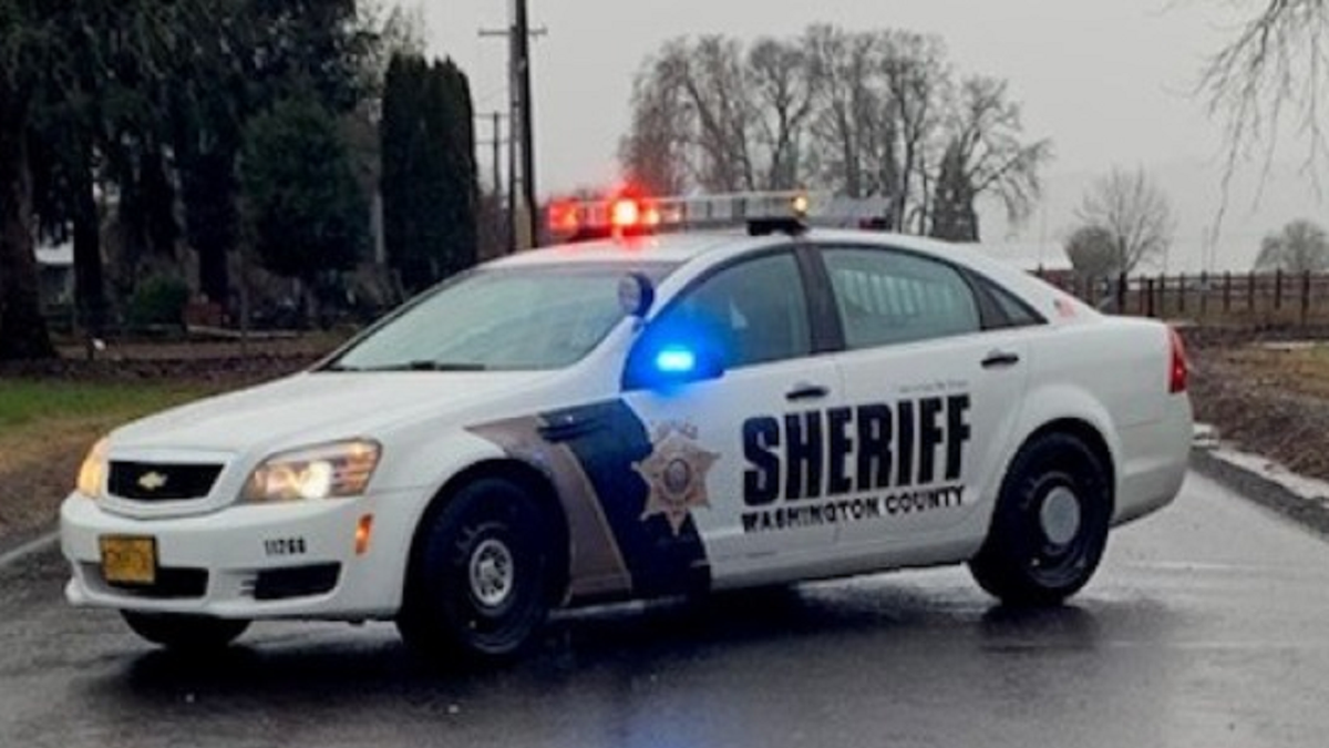 Washington County Sheriff's Office police car