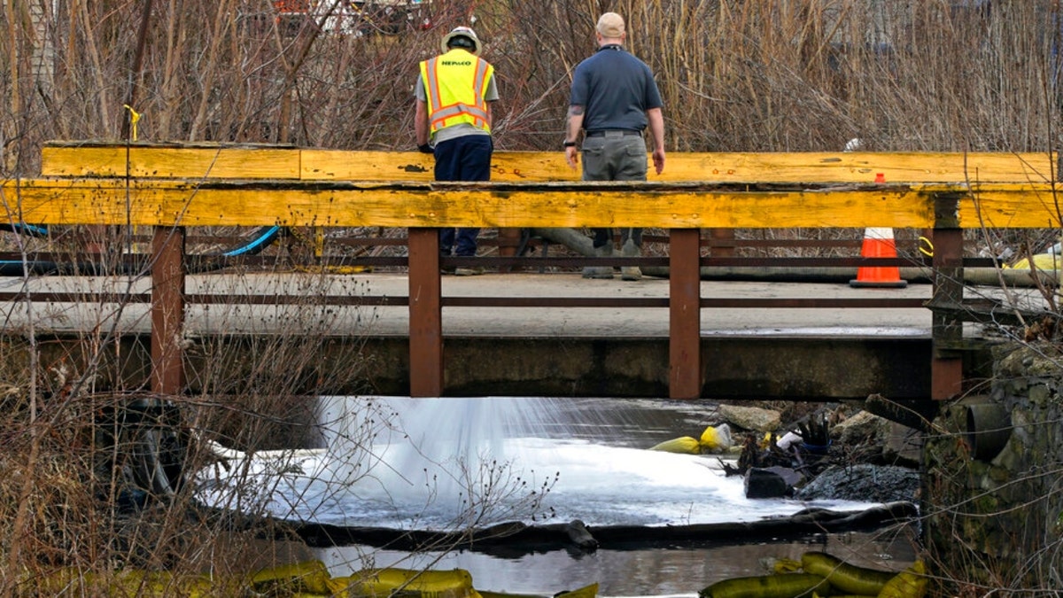 Environmental and emergency services workers observe a stream