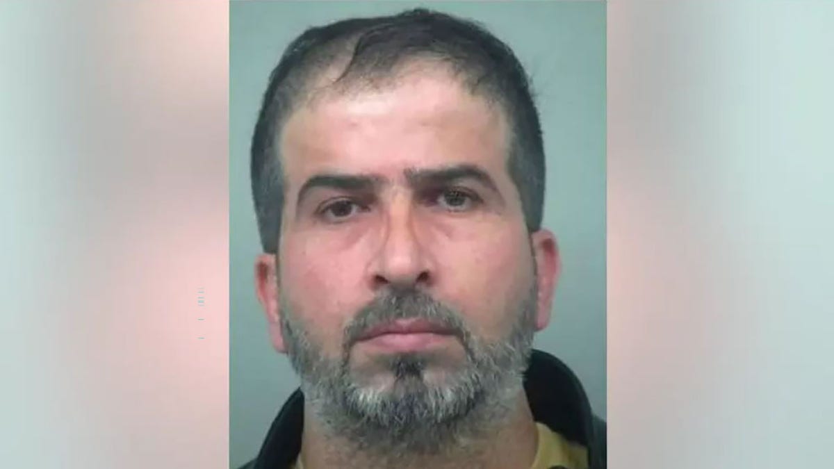 Hassan Shalgheen's mugshot