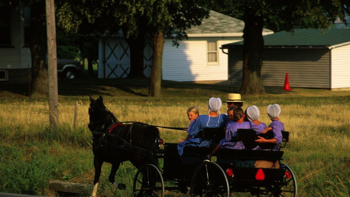 Amish Family In Buggy.