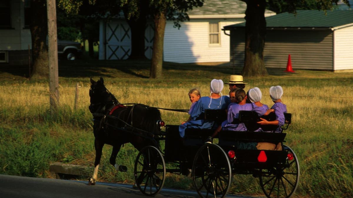 Amish Family In Buggy.