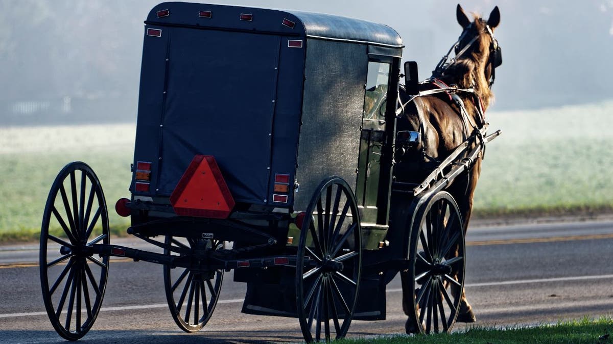 Amish buggy