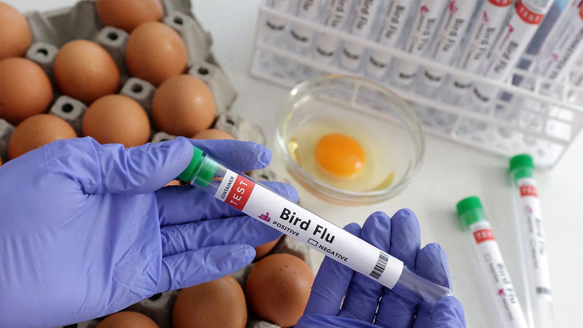 Test tube labelled "Bird Flu"