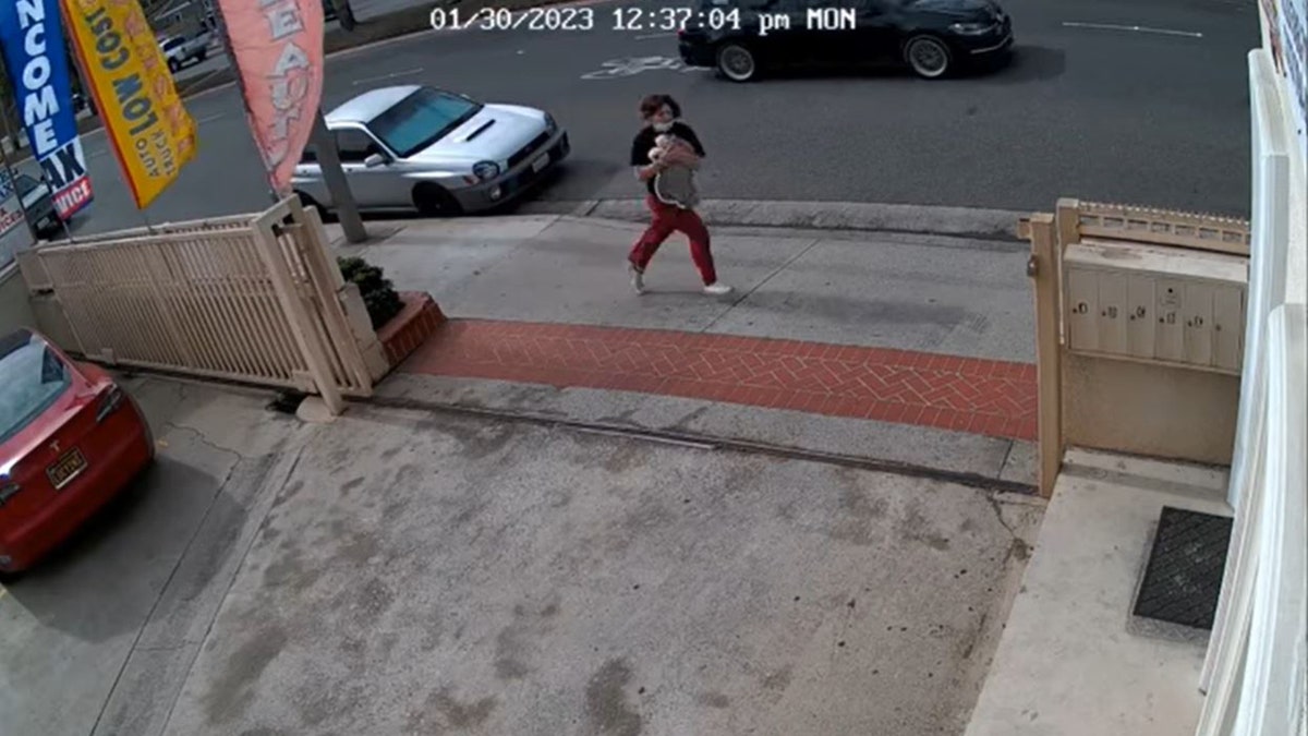 suspect running with stolen puppy