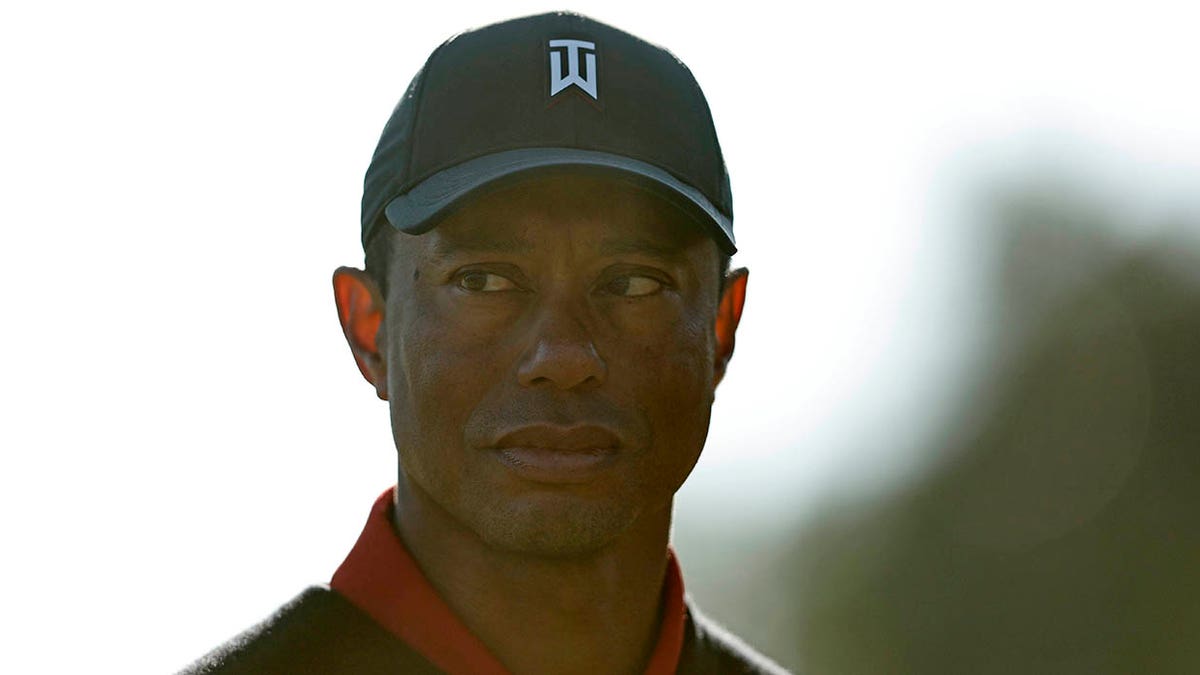 Tiger Woods stares on golf course