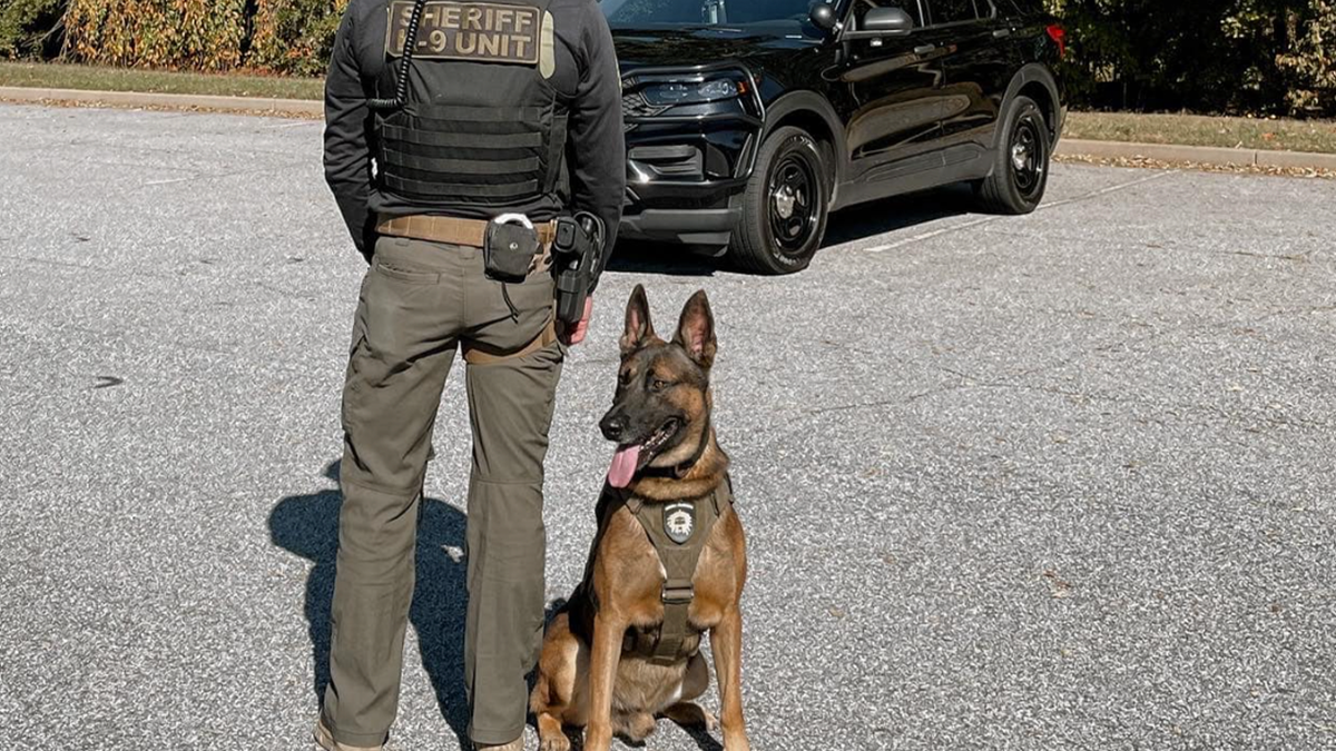 Police K9 in South Carolina