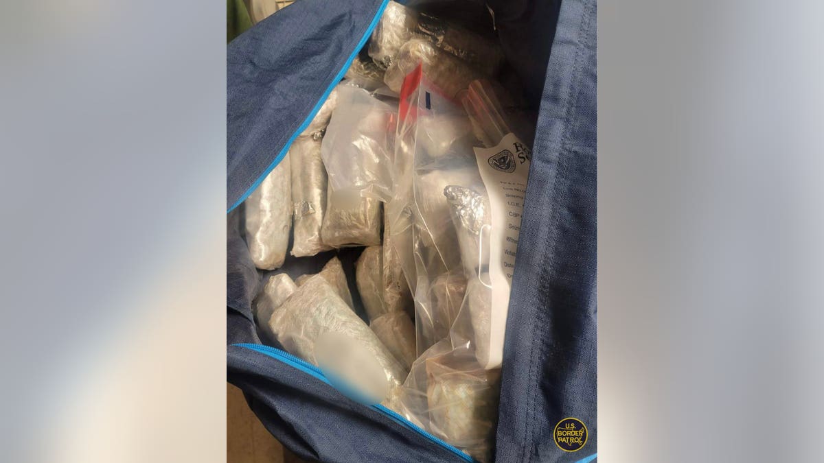 Fentanyl seizure