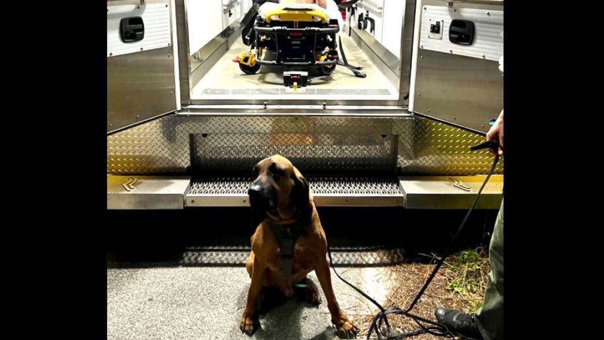 Florida police dog Charlotte