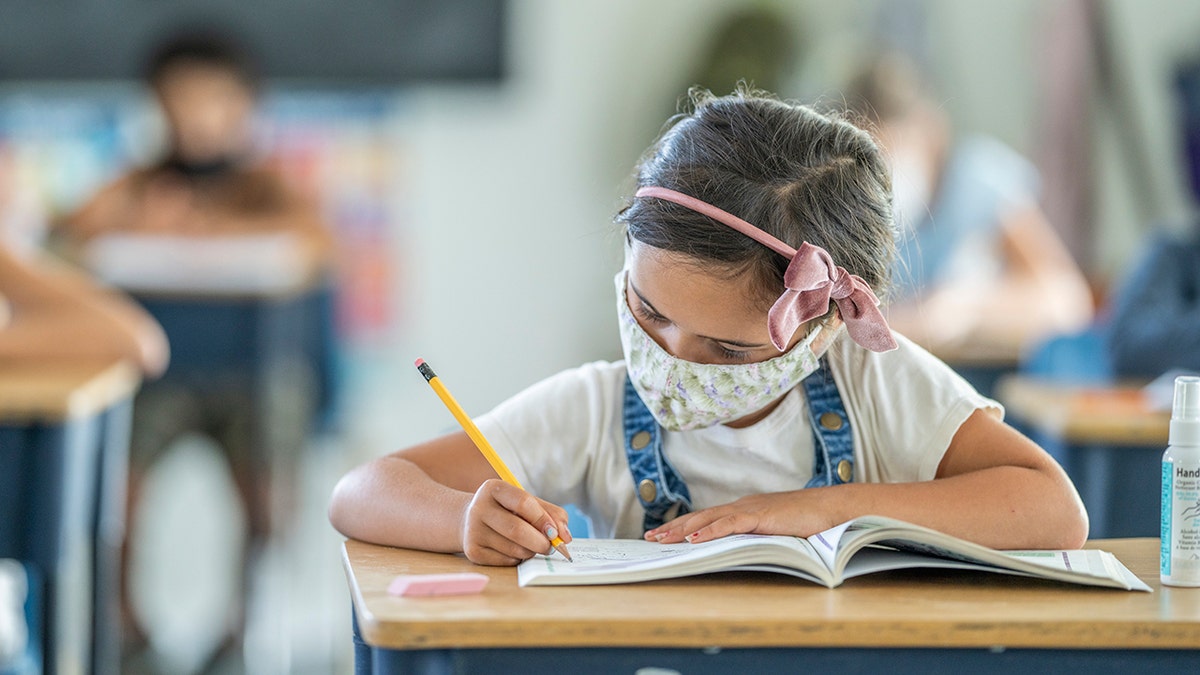 little girl wearing mask at school