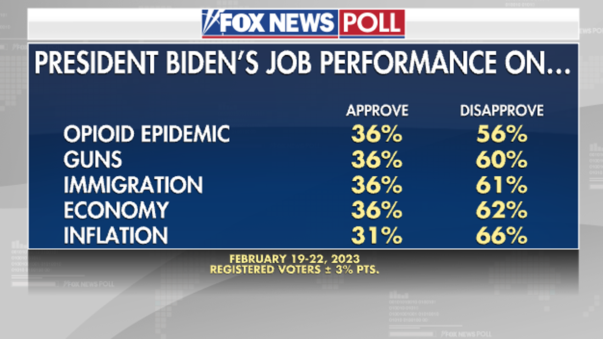 Fox News Poll shows President Biden's job performance on key domestic issues