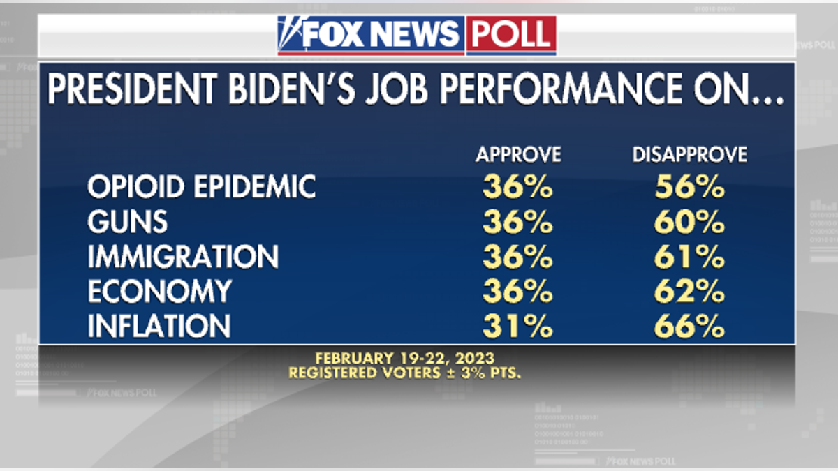 Fox News Poll shows President Biden's job performance on key domestic issues