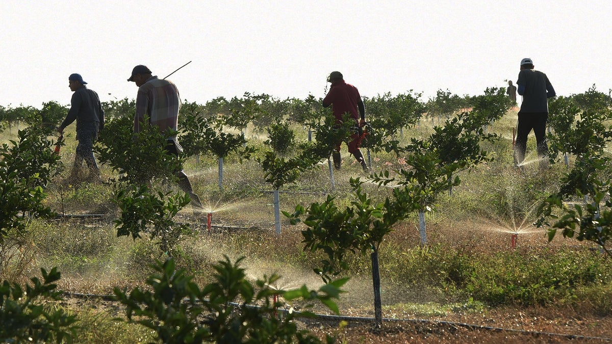 migrant workers in Florida