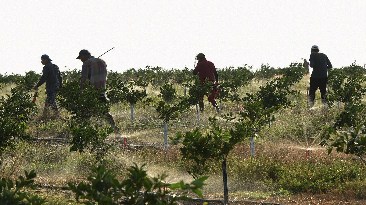 migrant workers in Florida