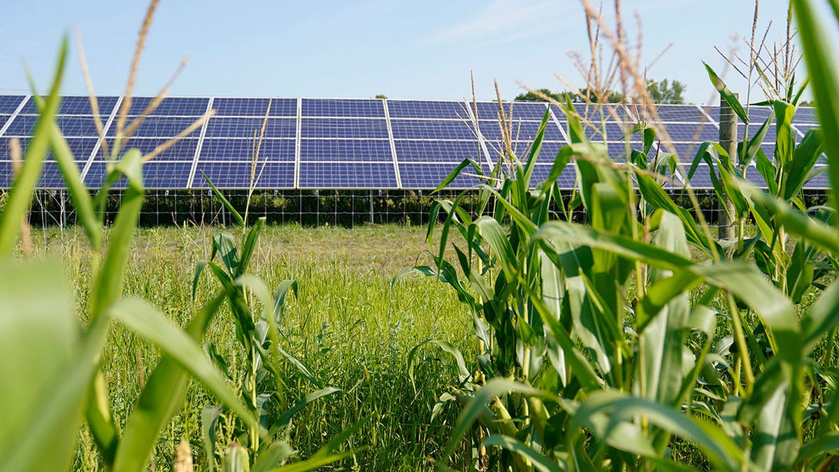 Minnesota carbon neutrality