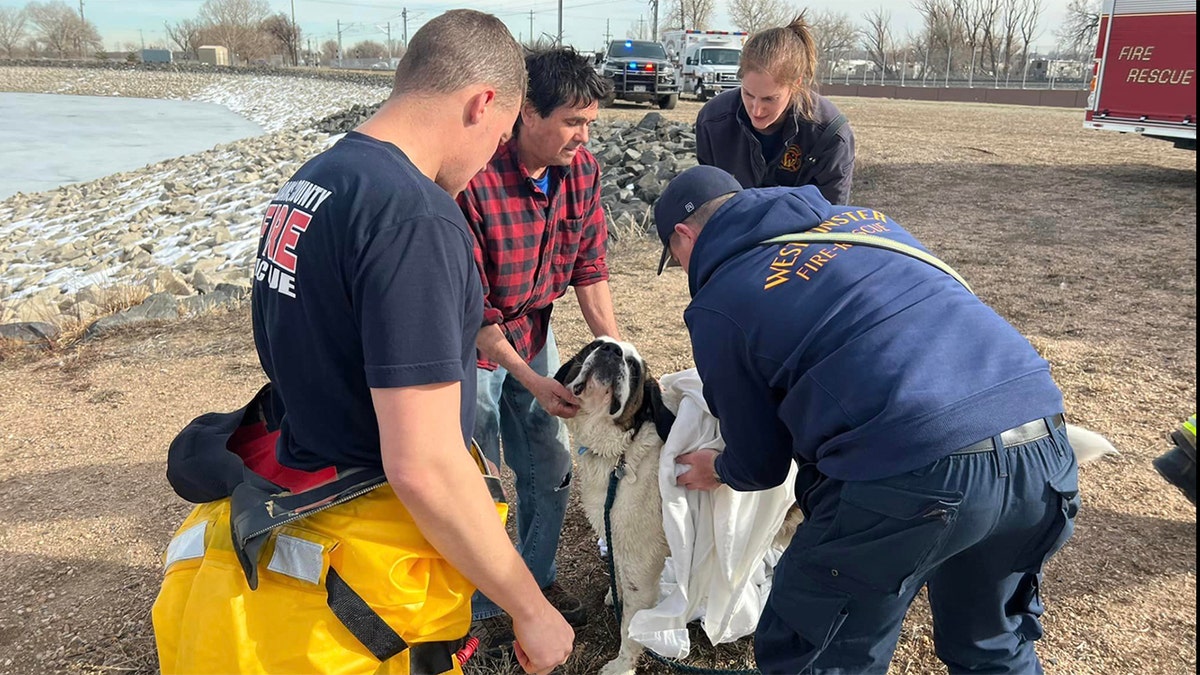 firefighters and dog