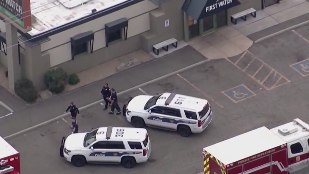 aerial view of police investigating