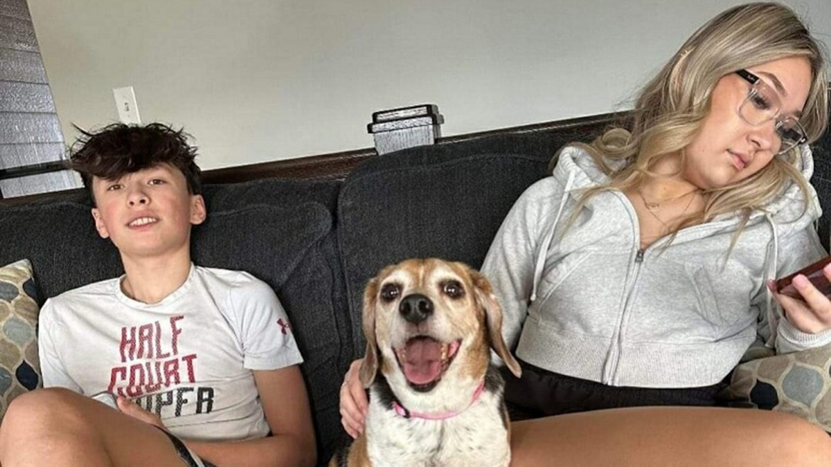 roscoe the dog