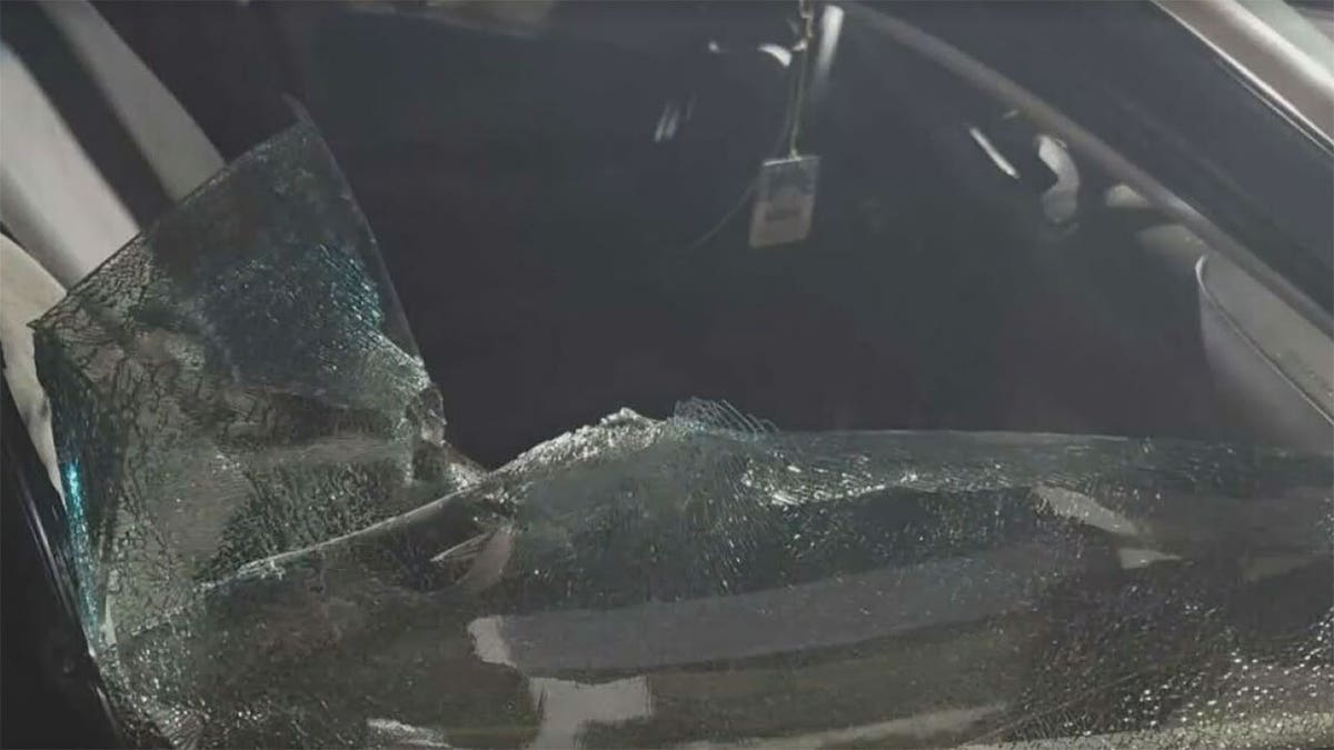 san jose delivery driver shattered window