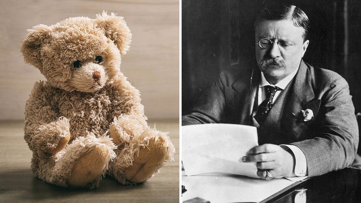 split/teddy bear and teddy Roosevelt