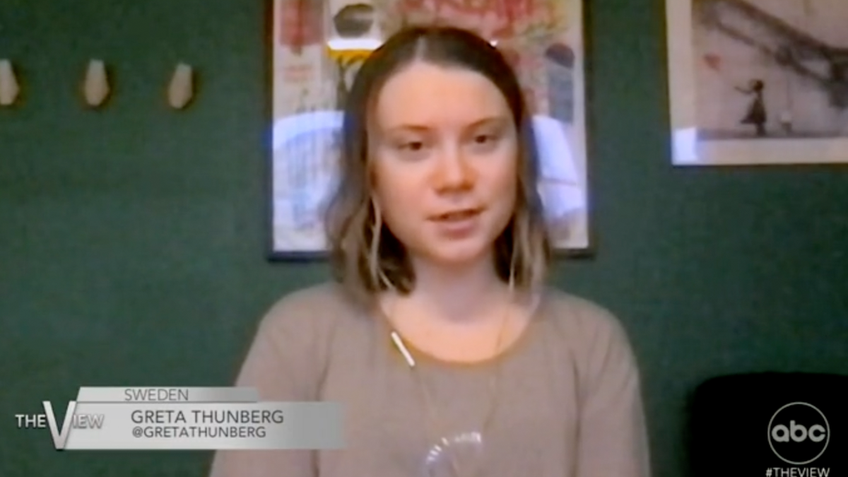 Thunberg on TV