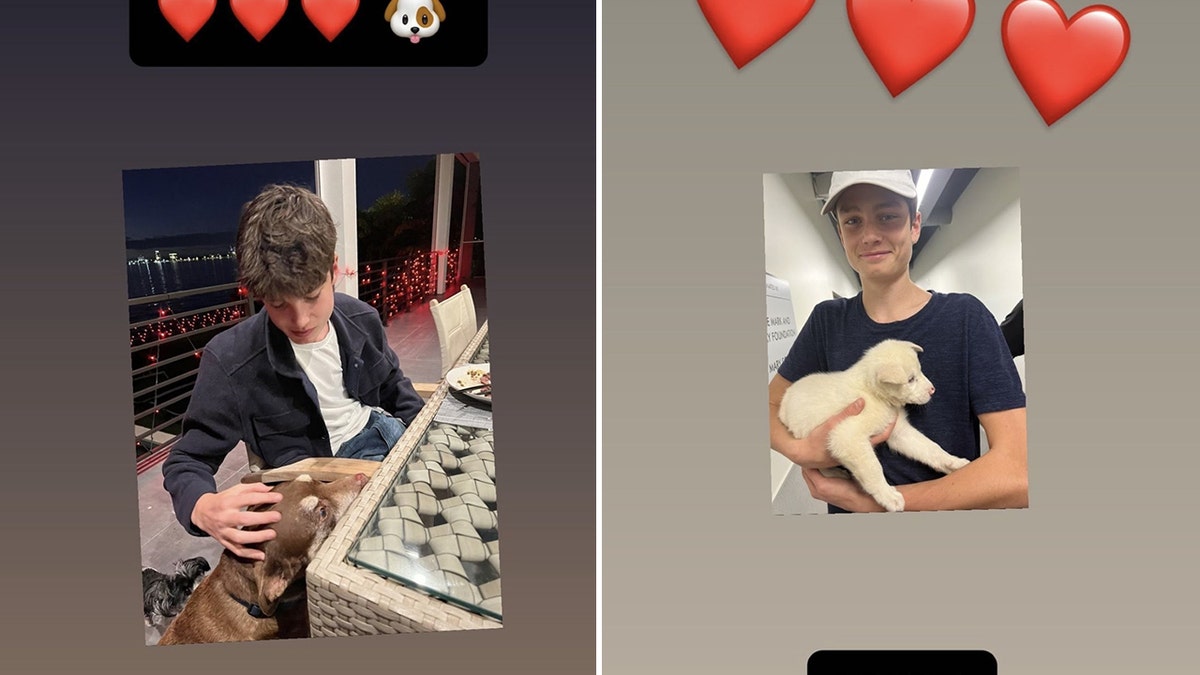 Jack Moynahan pets family dog Lua in one Instagram story posted by Tom Brady split Jack Moynahan holds a light colored dog with the caption "HVD" 